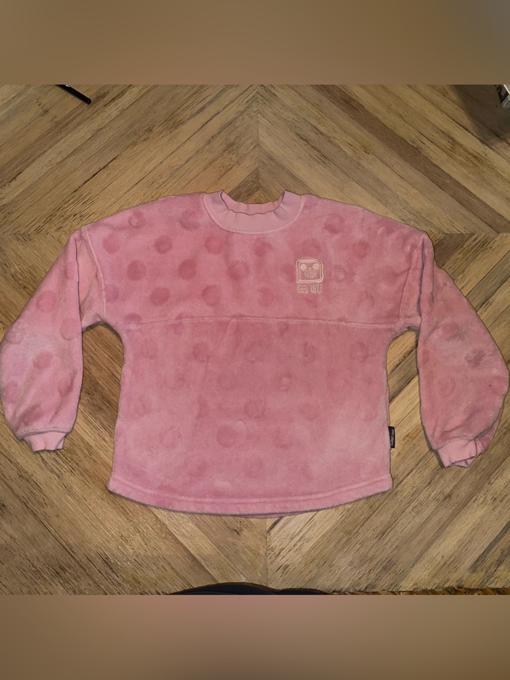 Walt Disney World spirit jersey sweater